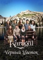 Черный цветок/Karagül